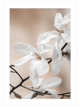 Blooming - Poster Seti Duo